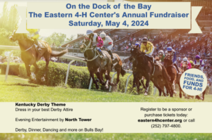 Cover photo for 2024 Dock of the Bay Fundraiser